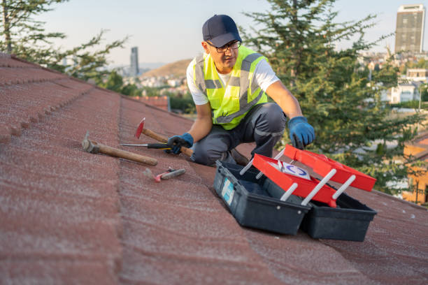 Professional Siding Installation in Verona, VA